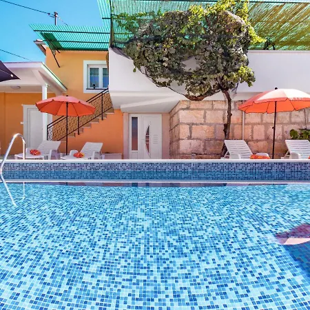 Holiday Vlahovic - Pzn312